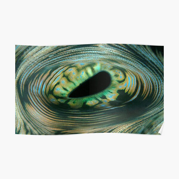 The Eye of the Reef Poster