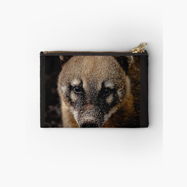 Item preview, Cute coati with a sandy snout. Nature photography. designed and sold by Tammigrafie.