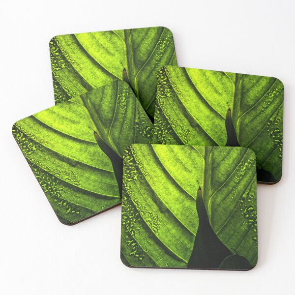 Item preview, Emerald Light – Tropical Green Leaf Macro Photography, Botanical Nature Art designed and sold by Visual Arts Dominika Cybuch.