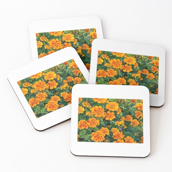 Item preview, Ukraine Marigold Chornobryvtsi Flowers Beautiful Autumn Photography designed and sold by Каленчук Арт.