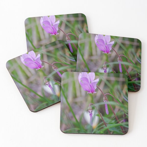 Item preview, Vibrant Cyclamen in Bloom Peloponnese Greece designed and sold by PhotoArt by Joan Carroll.