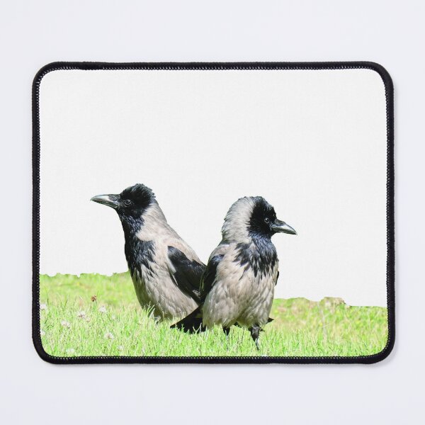 Item preview, Two Hooded Crows designed and sold by kavohh707.