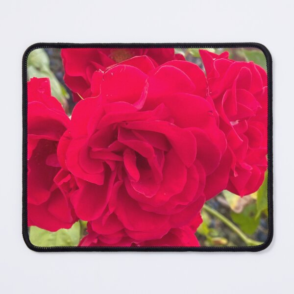 Item preview, Pretty red rose  designed and sold by Pretty stuff.