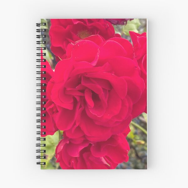 Item preview, Pretty red rose  designed and sold by Pretty stuff.