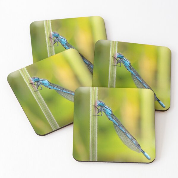 Item preview, Comon Blue Damselfly designed and sold by Darren Wilkes Wildlife UK.
