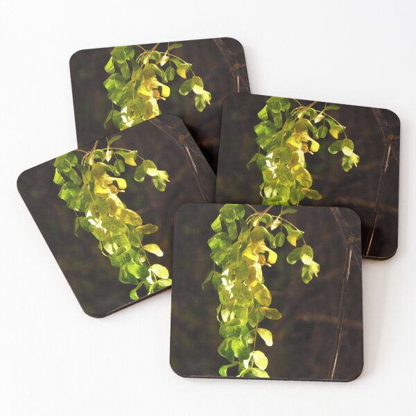 Item preview, linger designed and sold by AliceThornePhotography.