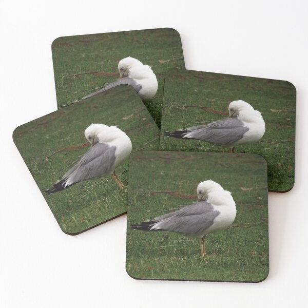 Item preview, gull designed and sold by AliceThornePhotography.