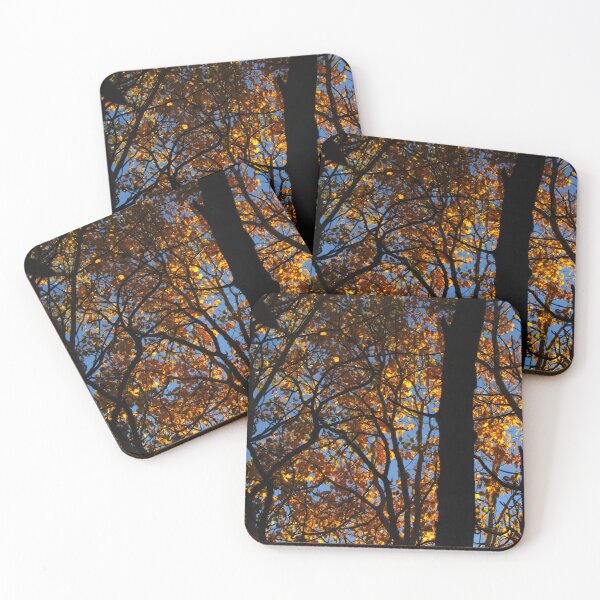 Item preview, hope designed and sold by AliceThornePhotography.