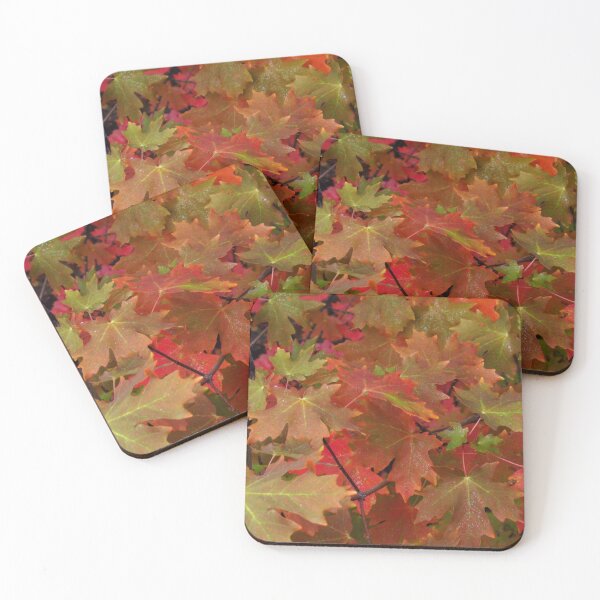 Item preview, soft designed and sold by AliceThornePhotography.
