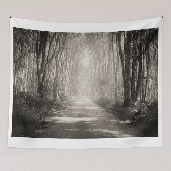 Item preview, Forest Fog Nature Photography designed and sold by pcole123.