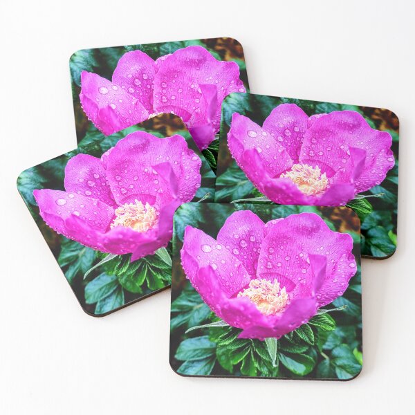 Item preview, Cup of Rain designed and sold by Bee Buddy Photography.