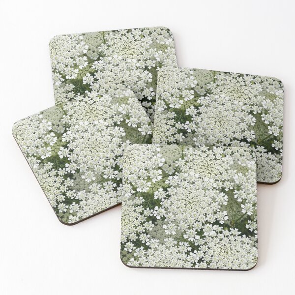 Item preview, Queen Anne's Lace Across the Canvas — Big White Clusters designed and sold by Stevercortinas.