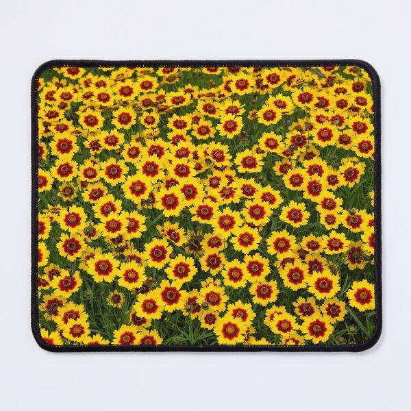 Item preview, Plains Coreopsis Across the Canvas — Yellow Blooms with Red Centers designed and sold by Stevercortinas.