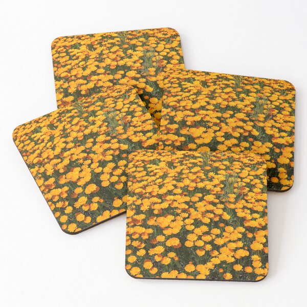 Item preview, Huisache Daisies Across the Canvas — Bright Orange Yellow Blooms designed and sold by Stevercortinas.