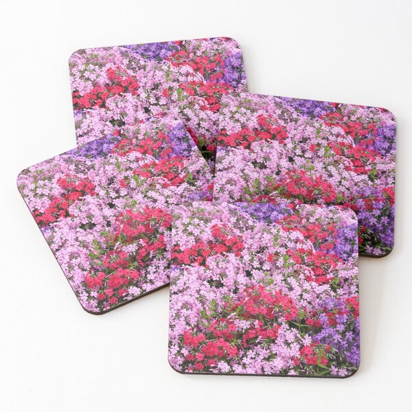 Item preview, Drummond Phlox Across the Canvas — Pink Red and Purple Blooms Close Together designed and sold by Stevercortinas.