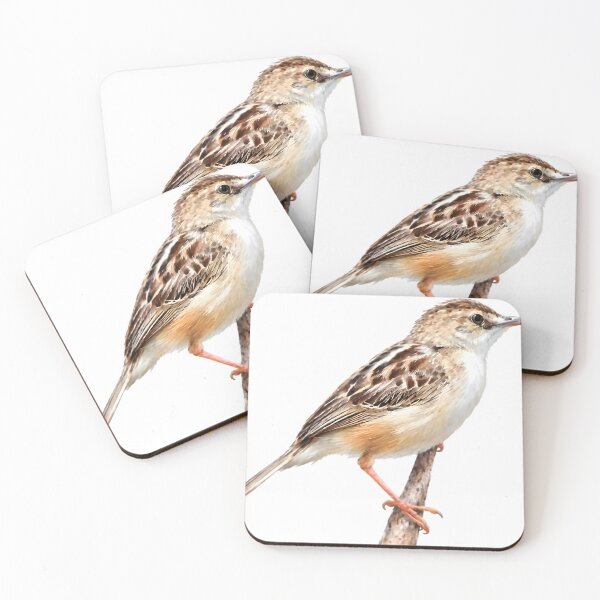 Item preview, Zitting cisticola (Cisticola juncidis) designed and sold by HOMETOWN86.