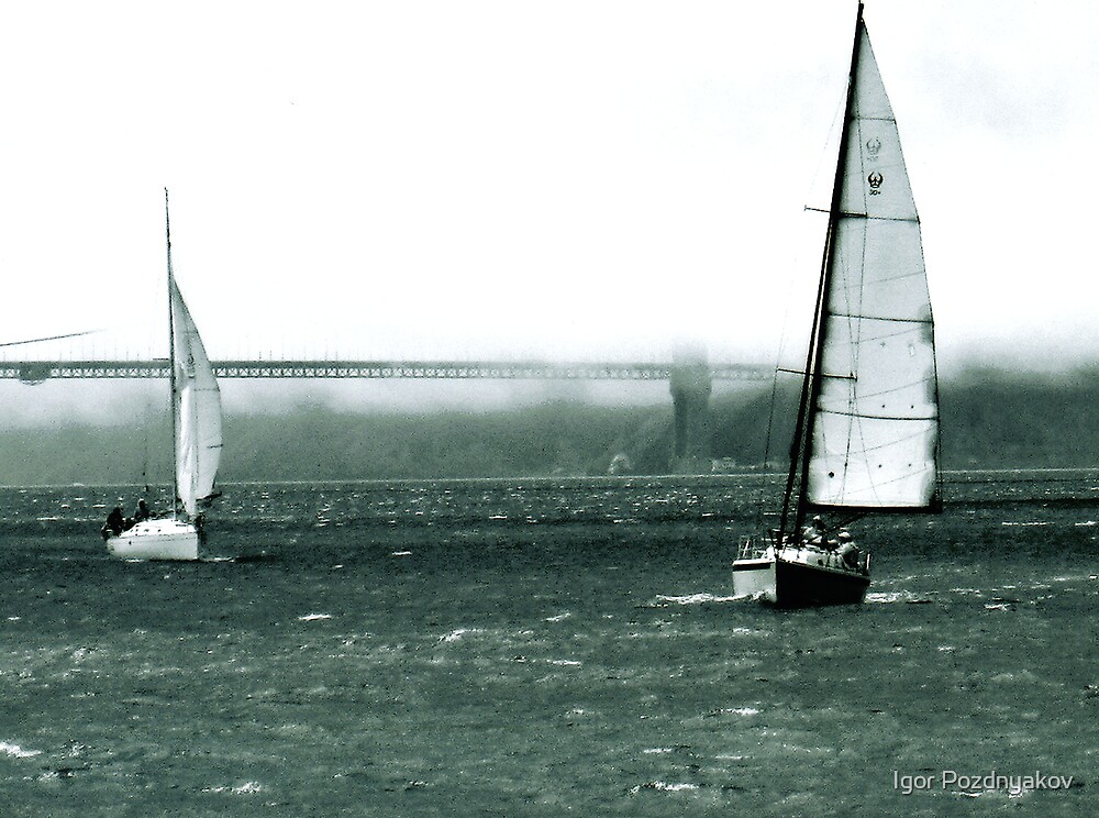 sailboat race san francisco