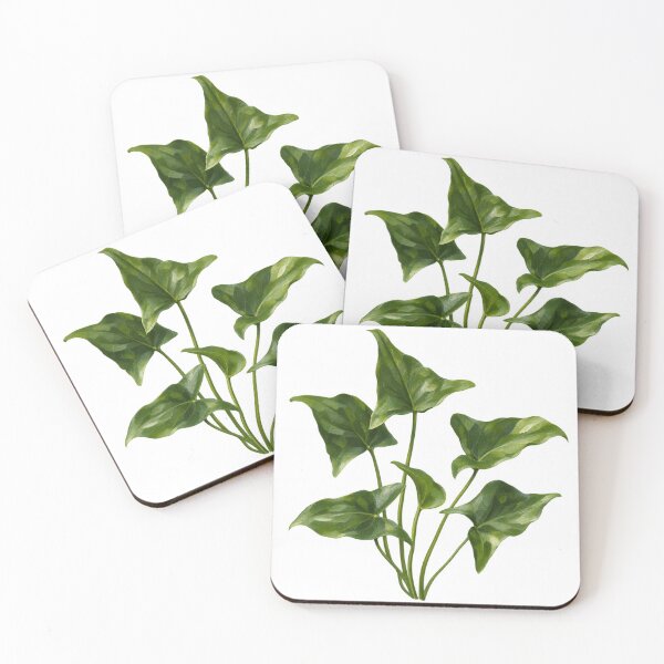 Item preview, Anubias Gracilis Arrowhead Leaves Botanical Portrait designed and sold by Ocelot-T.