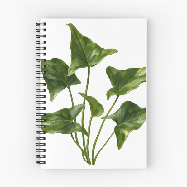 Item preview, Anubias Gracilis Arrowhead Leaves Botanical Portrait designed and sold by Ocelot-T.