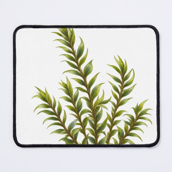 Item preview, Fissidens Fontanus Delicate Aquatic Moss Portrait designed and sold by Ocelot-T.