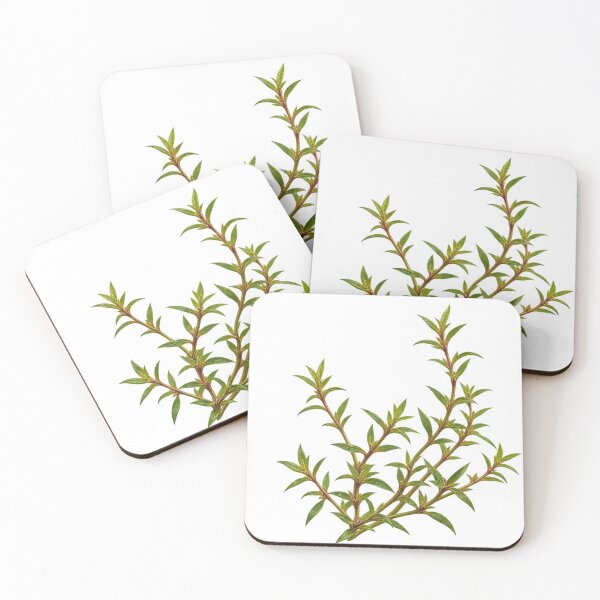 Item preview, Gratiola Viscidula Delicate Botanical Oil Painting designed and sold by Ocelot-T.