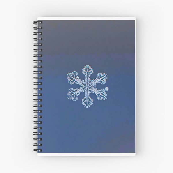 Item preview, Oyster snowflake designed and sold by Kristin Morgan.