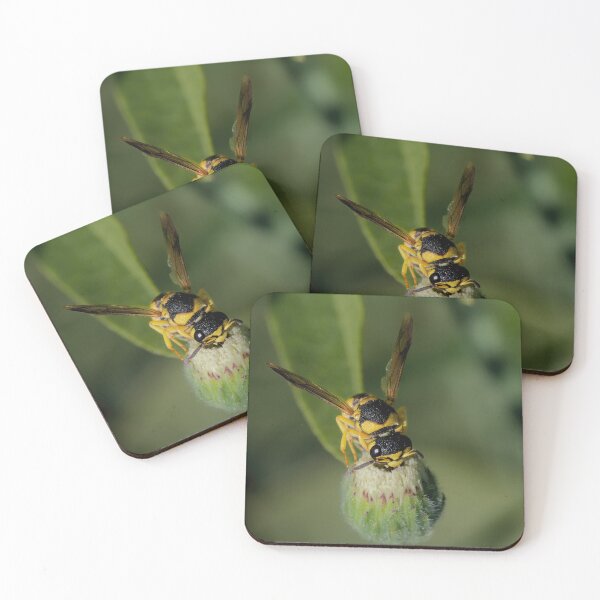 Item preview, Potter Wasp designed and sold by Ralph Goldsmith.