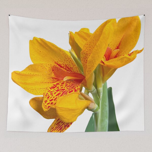 Item preview, Vibrant Yellow Canna Lily Botanical Floral Art designed and sold by glassmelon.com.