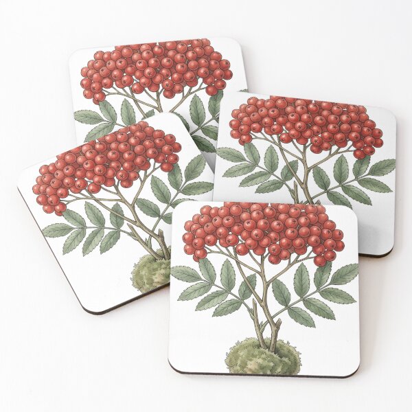 Item preview, Vintage Naturalist Rowan Berries - Antique Winter Botanical Art designed and sold by Catch333.