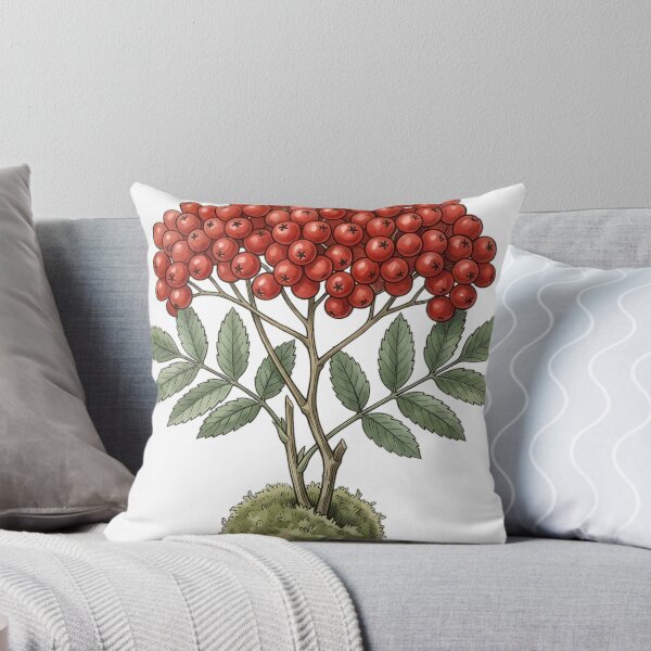Item preview, Vintage Naturalist Rowan Berries - Antique Winter Botanical Art designed and sold by Catch333.