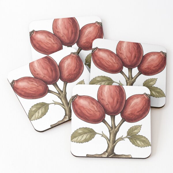 Item preview, Vintage Naturalist Rosehip Cluster - Antique Winter Botanical Art designed and sold by Catch333.
