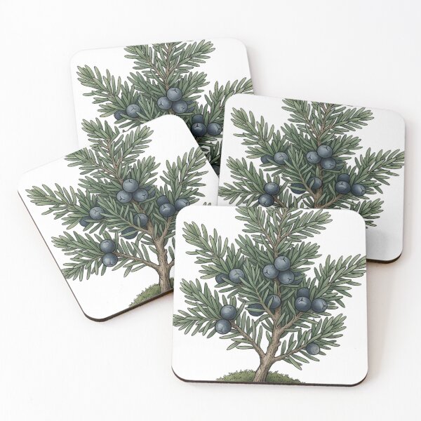 Item preview, Vintage Naturalist Juniper Sprig - Antique Winter Botanical Plate designed and sold by Catch333.