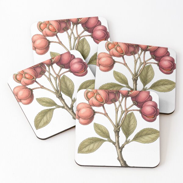 Item preview, Vintage Naturalist Spindle Berries - Antique Botanical Plate designed and sold by Catch333.