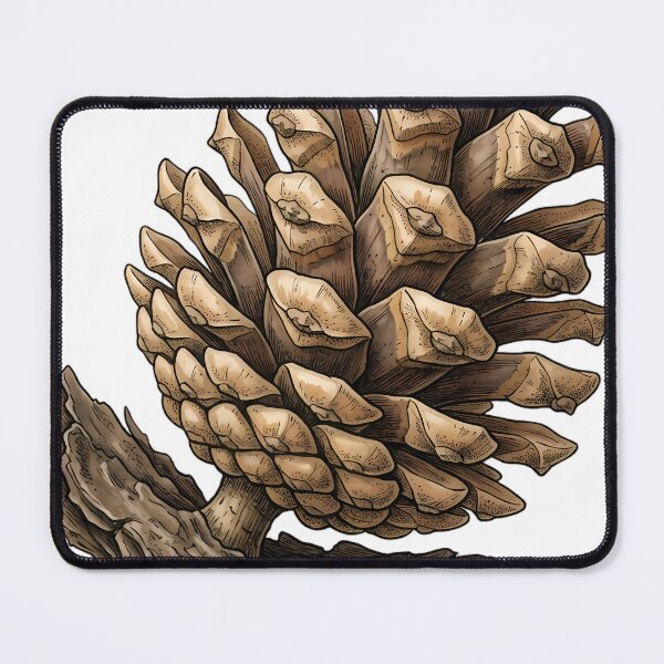 Item preview, Vintage Naturalist Scots Pine Cone - Antique Botanical Plate designed and sold by Catch333.