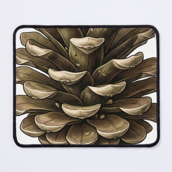 Item preview, Vintage Naturalist Fir Cone - Antique Botanical Plate designed and sold by Catch333.