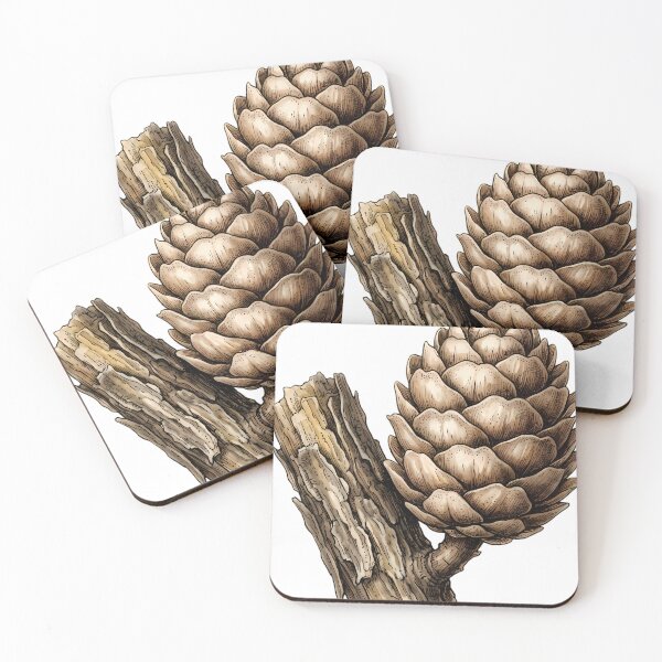 Item preview, Vintage Naturalist Larch Cone - Antique Winter Botanical Art designed and sold by Catch333.