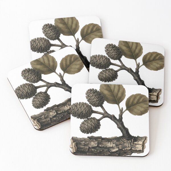 Item preview, Vintage Naturalist Alder Cone Cluster - Antique Botanical Art designed and sold by Catch333.