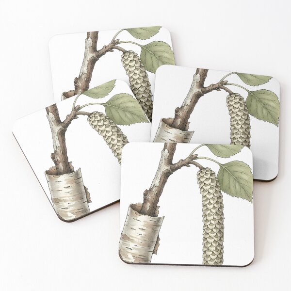 Item preview, Vintage Naturalist Birch Catkin Twig - Antique Botanical Plate designed and sold by Catch333.