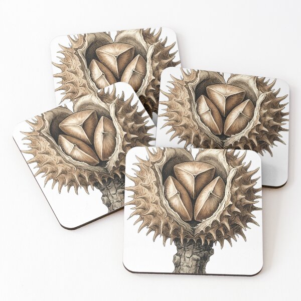 Item preview, Vintage Naturalist Beech Nut Group - Antique Winter Botanical Art designed and sold by Catch333.