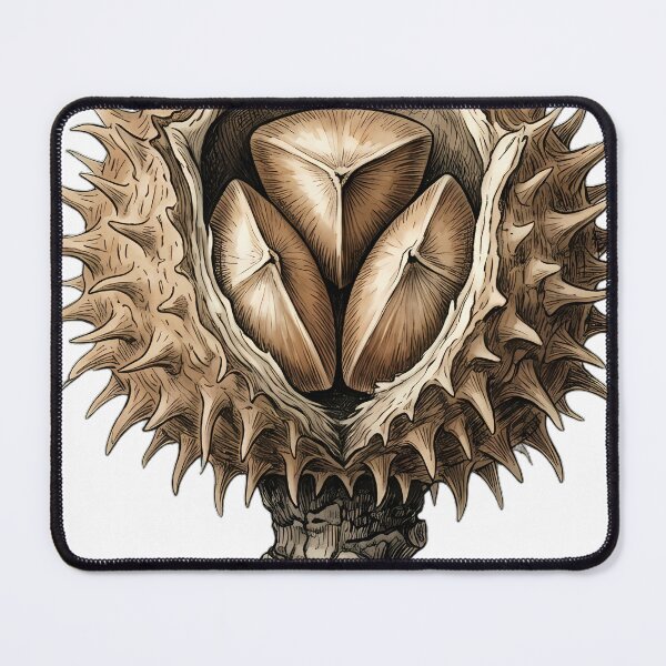 Item preview, Vintage Naturalist Beech Nut Group - Antique Winter Botanical Art designed and sold by Catch333.