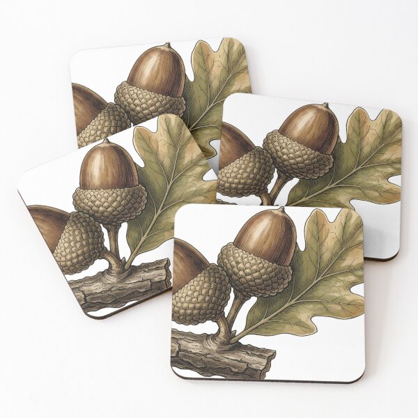 Item preview, Vintage Naturalist Acorn Group - Antique Botanical Plate designed and sold by Catch333.
