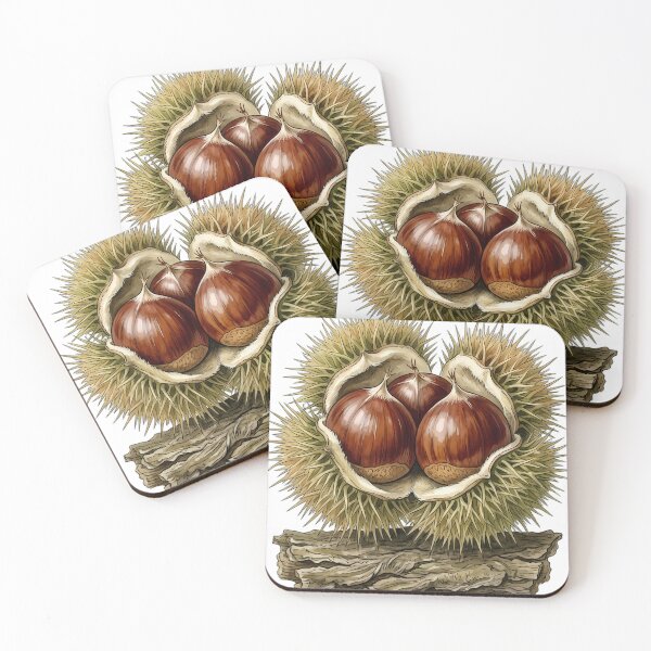 Item preview, Vintage Naturalist Sweet Chestnut Group - Antique Botanical Art designed and sold by Catch333.