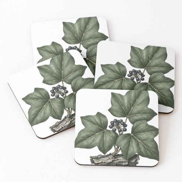 Item preview, Vintage Naturalist Common Ivy Spray - Antique Botanical Art designed and sold by Catch333.
