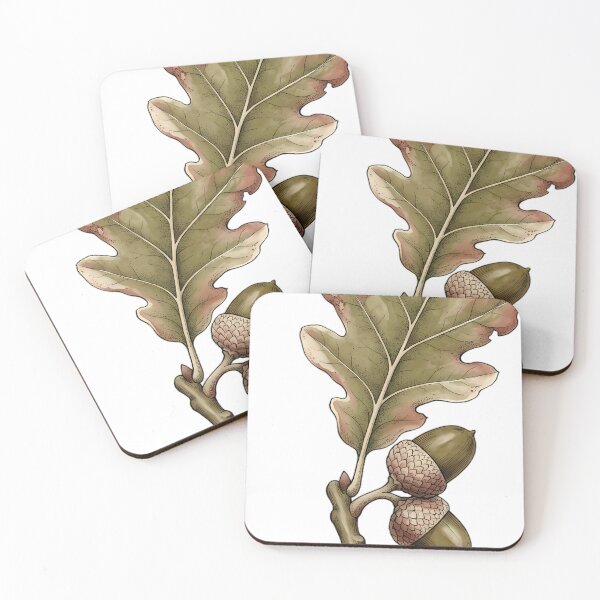 Item preview, Vintage Naturalist English Oak Leaf - Antique Botanical Plate designed and sold by Catch333.