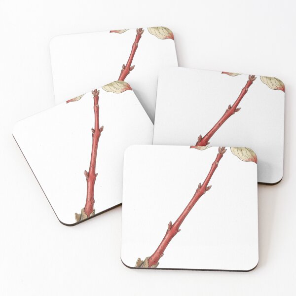 Item preview, Vintage Naturalist Dogwood Twig - Antique Winter Botanical Plate designed and sold by Catch333.
