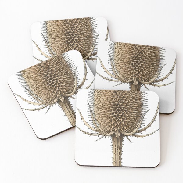 Item preview, Vintage Naturalist Teasel Head - Antique Botanical Art designed and sold by Catch333.