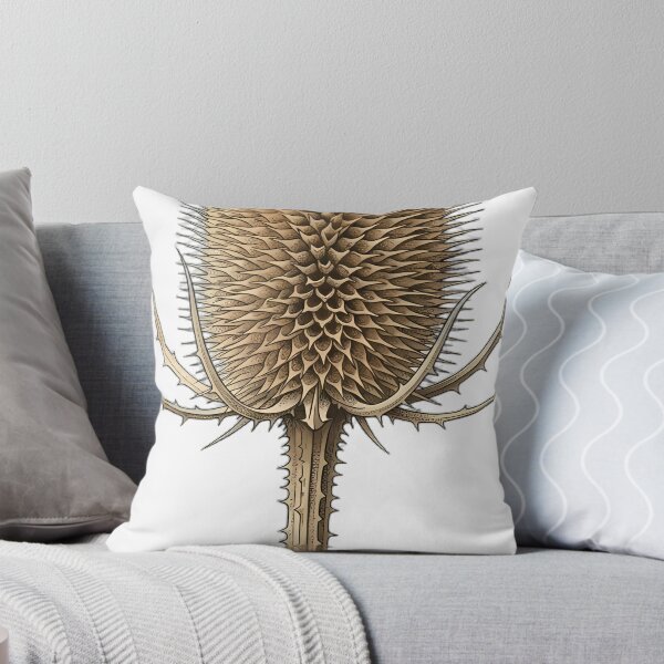 Item preview, Vintage Naturalist Teasel Head - Antique Botanical Art designed and sold by Catch333.