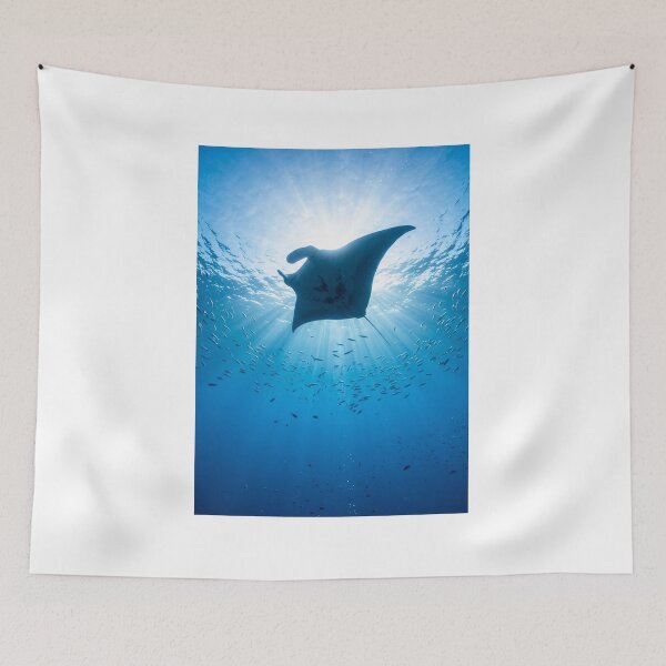 Item preview, Manta Overhead designed and sold by JamieReid98.