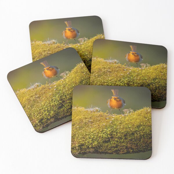 Item preview, Illuminated Robin on Mossy Log designed and sold by Darren Wilkes Wildlife UK.