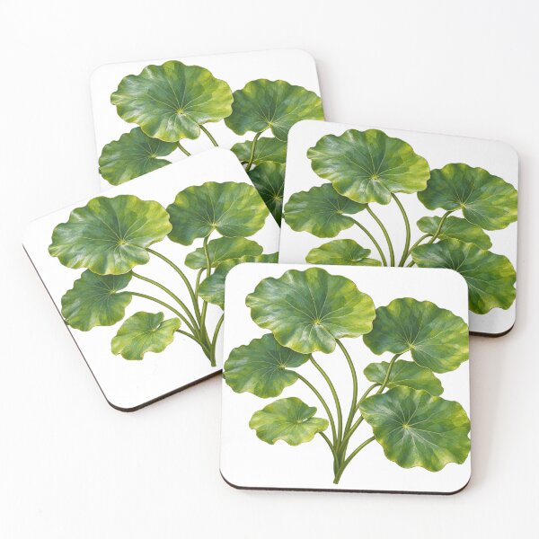 Item preview, Nymphoides Hydrophylla Taiwan Botanical Oil Painting designed and sold by Ocelot-T.